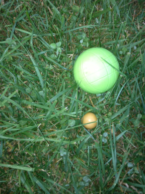 ball