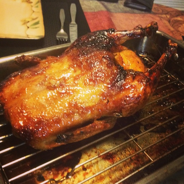 This duck took fooorrreeevvvvvweeeerrrr